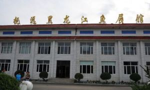 撫遠黑龍江魚展館