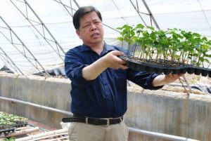 趙洪亮[揚州籍書法家]