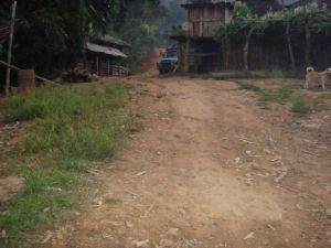 曼囡老寨自然村 曼囡老寨自然村