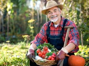 卡富芮氏農場工人