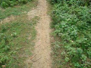 岩腳下自然村 岩腳下自然村