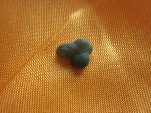 義玄禪師真身舍利