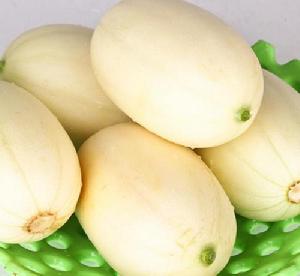 莎車甜瓜 莎車甜瓜