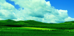 內蒙古森林固碳功能位居全國第三位