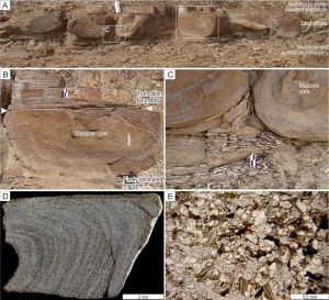 包卷構造 包卷構造