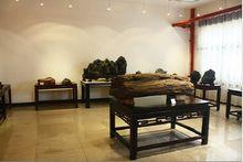 武漢天人合一奇石博物館展品——木化石