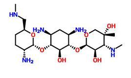 小諾黴素 小諾黴素
