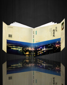 《在瀘州，我看見》