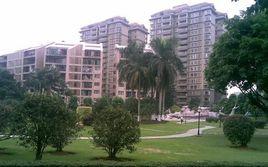 東城中心 東城中心