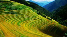 龍潭鄉[雲南省元江縣龍潭鄉]