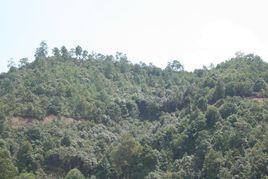 牛香登村 牛香登村