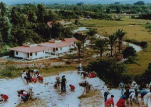 南菇河淘寶場 南菇河淘寶場