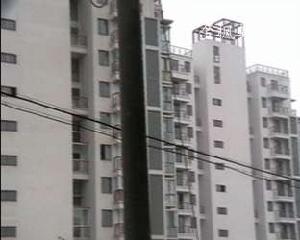 金楓美地 金楓美地