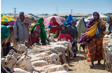 索馬利蘭 索馬利蘭