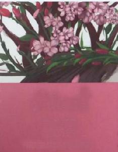 胺基酸洗髮水 胺基酸洗髮水