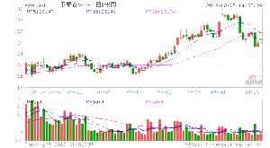衛星石化 衛星石化
