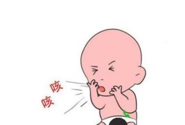 外感咳嗽 外感咳嗽