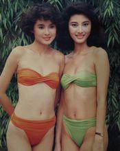 陳淑蘭和李嘉欣