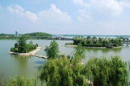 安徽潁上八里河省級自然保護區 安徽潁上八里河省級自然保護區