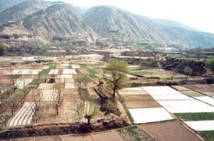 八里鎮[甘肅省蘭州市七里河區八里鎮]