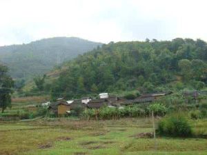 大魯寨自然村 大魯寨自然村