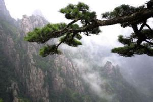 施維比阿爾比地質公園 施維比阿爾比地質公園