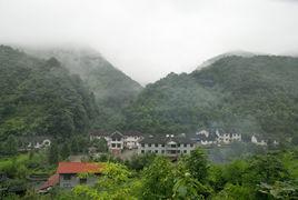 天平山林區 天平山林區