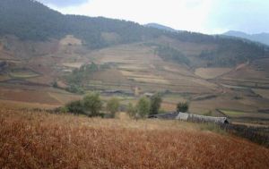 大拉壩自然村 大拉壩自然村