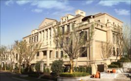 白鷺金岸 白鷺金岸