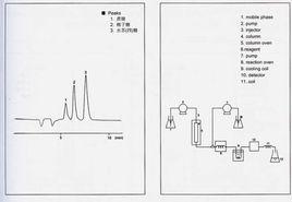 非還原糖 非還原糖