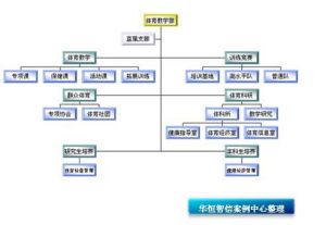 分權化組織結構