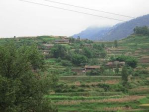 閘塘東瓜村 閘塘東瓜村