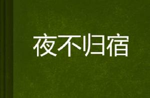 夜不歸宿 夜不歸宿