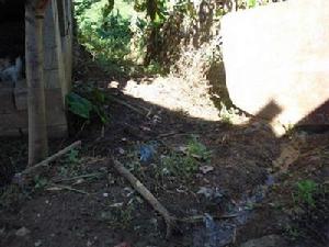 民居院落衛生狀況