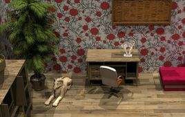 埃及房間逃脫 埃及房間逃脫