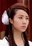 楊門女將之女兒當自強[李若彤、鄭佩佩主演電視連續劇]