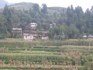 馬達灣村 馬達灣村