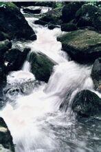 興文[四川省宜賓市下轄縣]