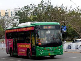 北海公交16路 北海公交16路