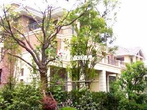 湖山在望 湖山在望