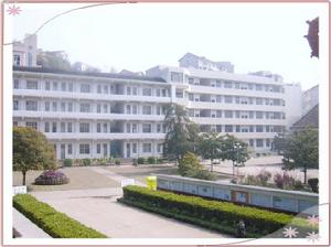 漵浦二中 漵浦二中