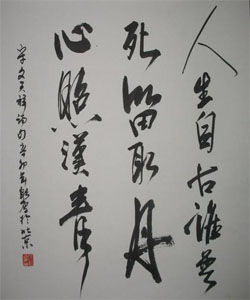 人生自古誰無死 人生自古誰無死