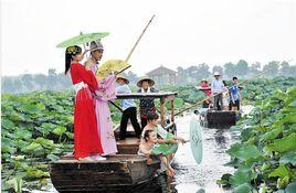 荷花生日 荷花生日