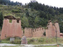 巴西會議 巴西會議