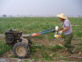 蘇莊村[安徽宿州市蕭縣王寨鎮蘇莊村]