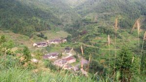鳳凰山自然村 鳳凰山自然村