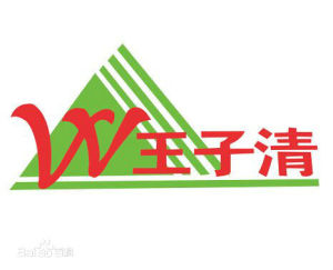 雲南王子清網路科技有限公司 雲南王子清網路科技有限公司