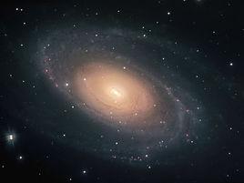 大熊座星系 大熊座星系