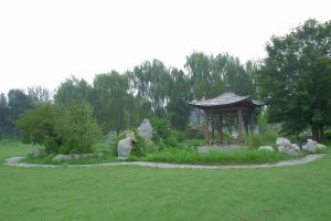 電影攝影 電影攝影