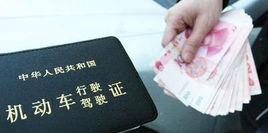 萬能駕照 萬能駕照